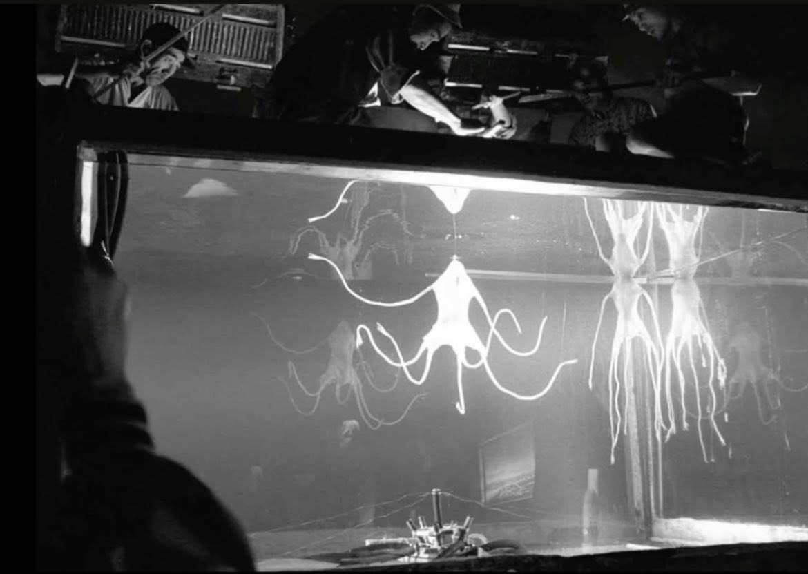 Monster Legacy tweet media