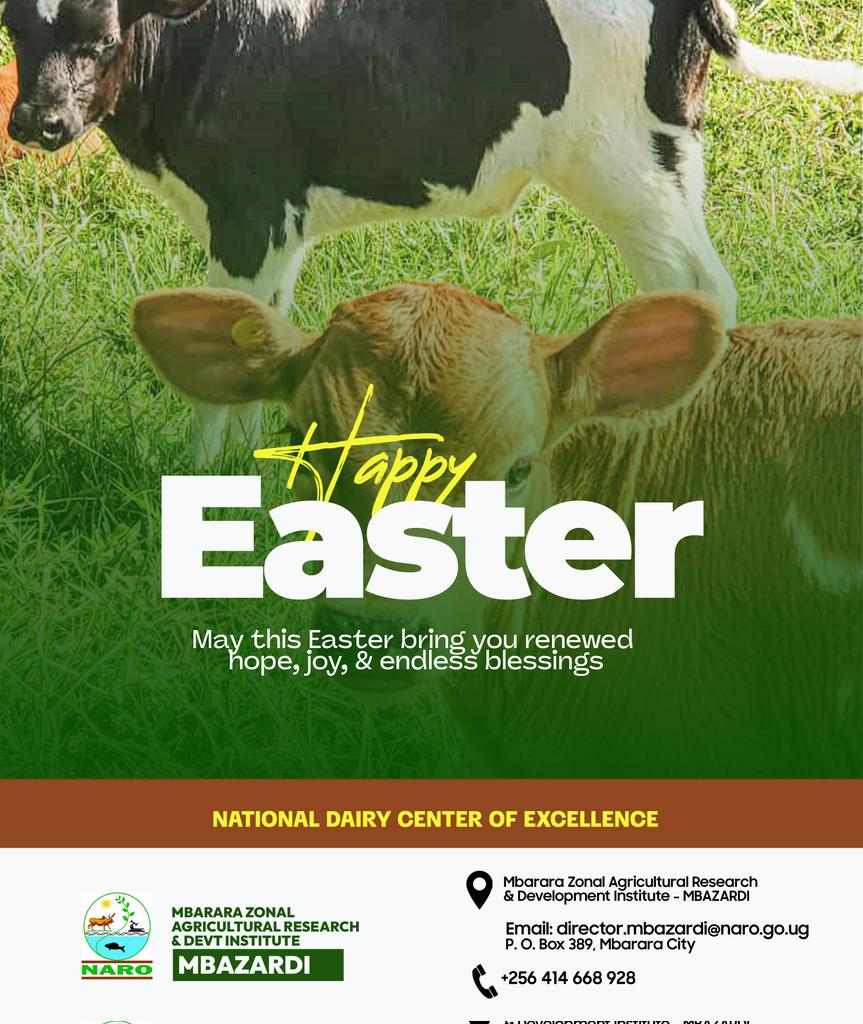 Mbarara Zonal Agric Research and Devt Institute tweet media