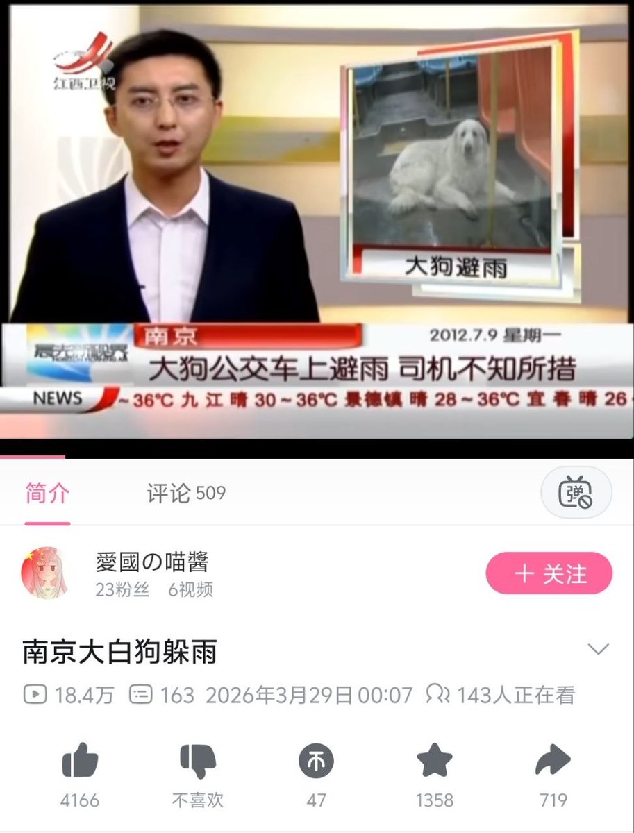 川和喵酱薯条🍟🇯🇵井外势力 tweet media