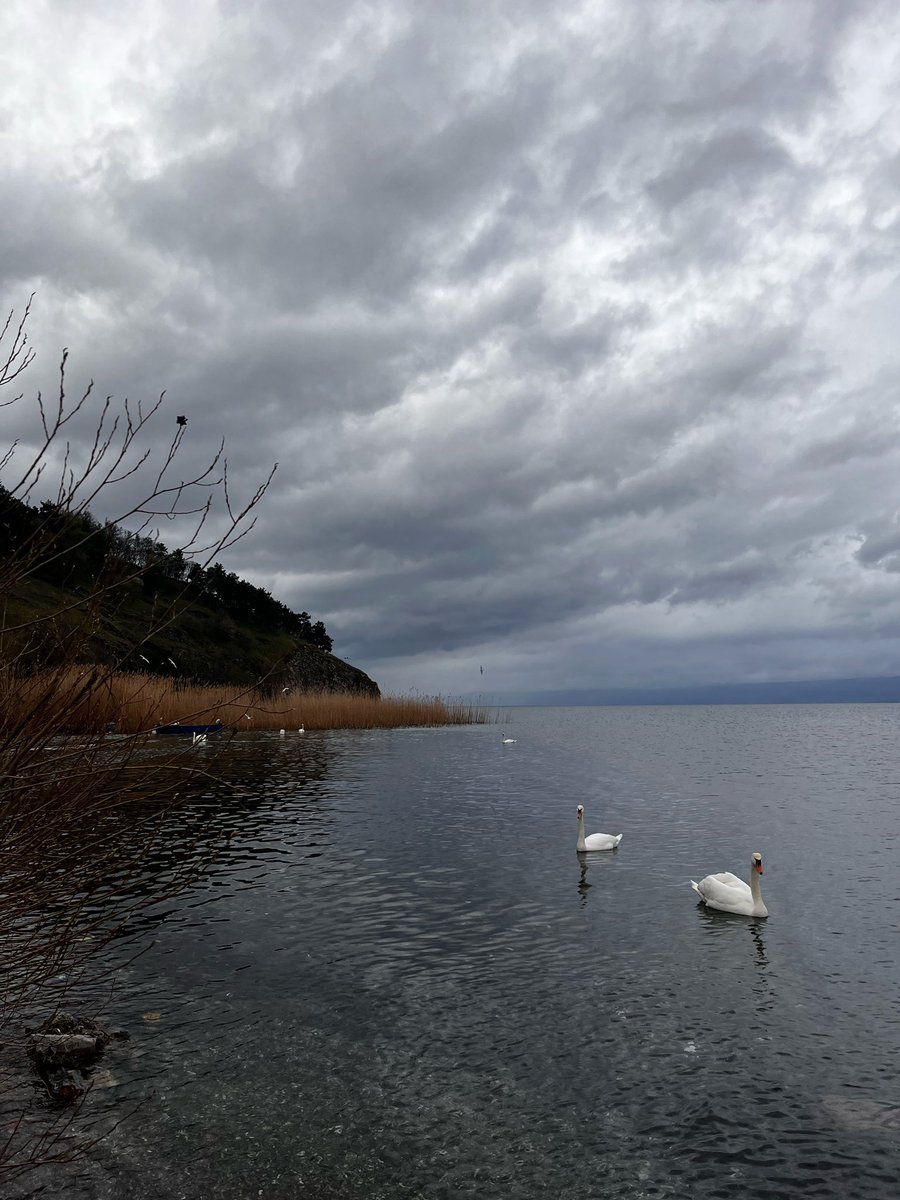 Diana 🦋 tweet media