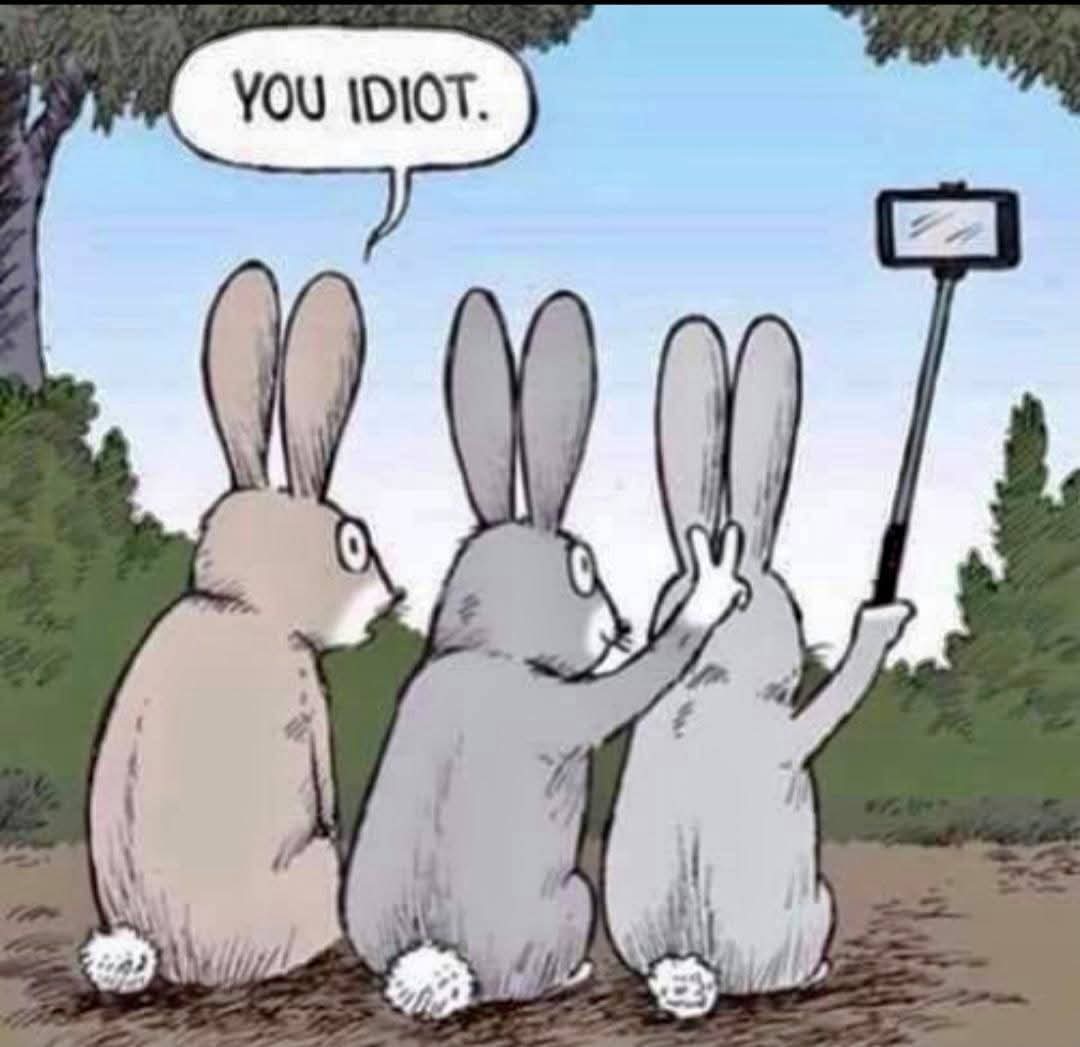 Corn Pop's Sister ✝️🇺🇸🗣️ tweet media