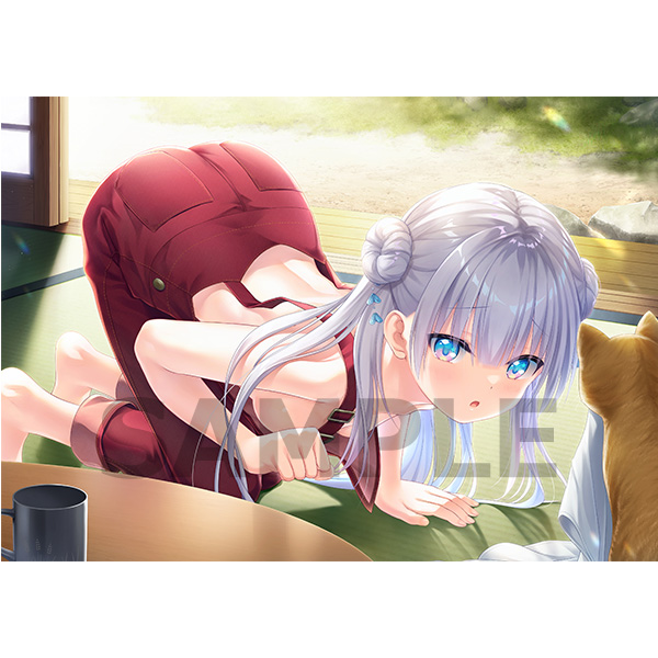 ソフマップ TVゲーム総合 tweet media