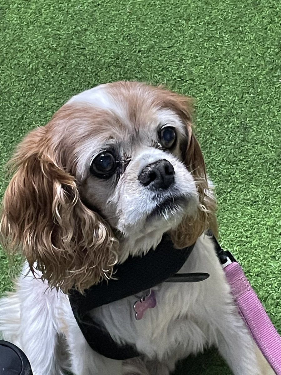 eggo ⚰️ PATHO 3 SPOILERS tweet media