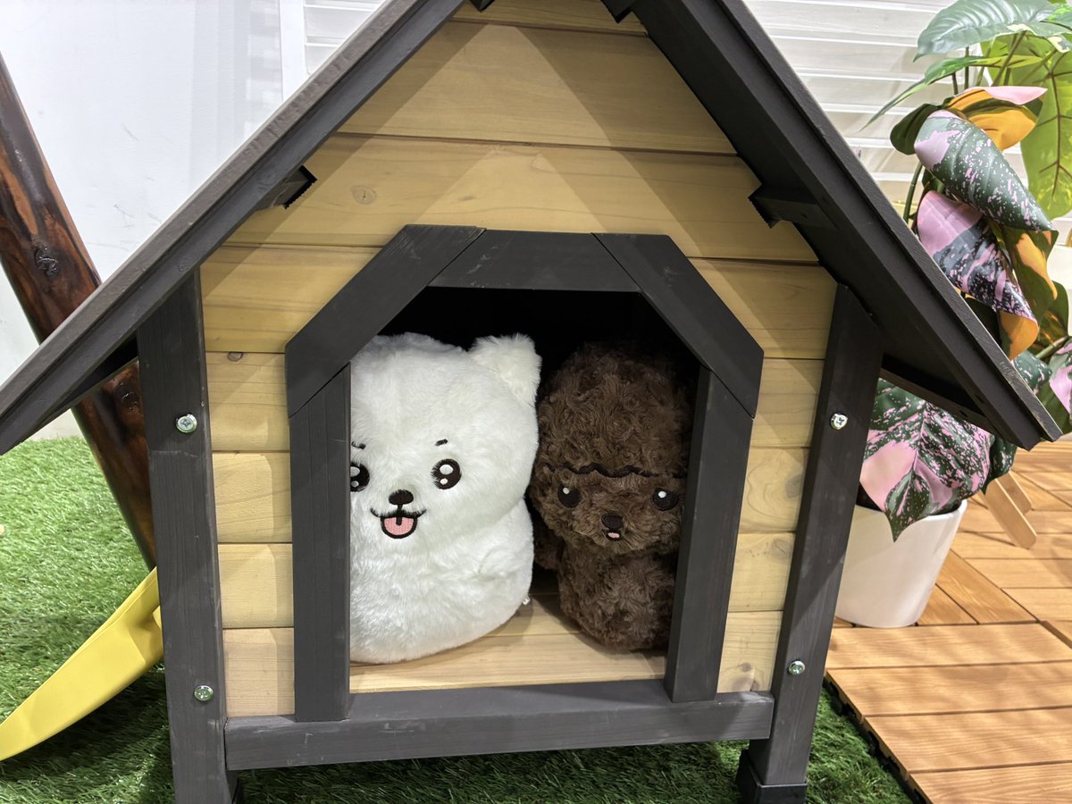 ちぃすけ🥒 tweet media