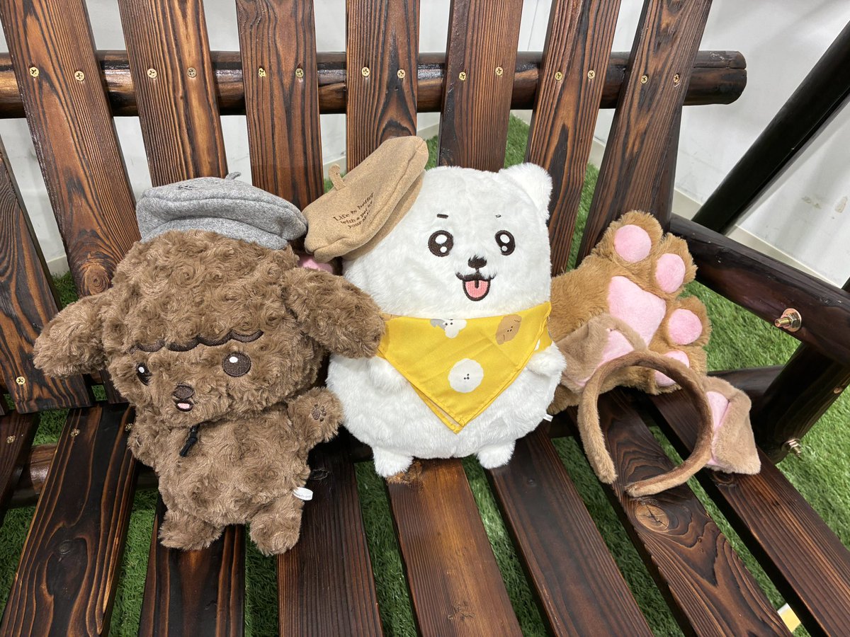 ちぃすけ🥒 tweet media