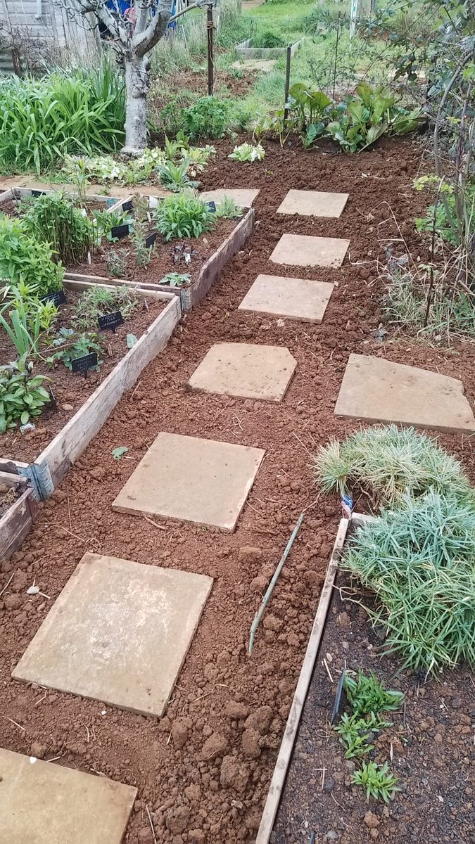 PollyWaterside 💙 🐝🐦🦋🪴🌼🌻🌺💐🌸🌹 tweet media