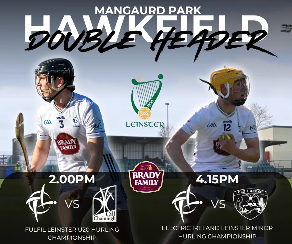 Kildare GAA tweet media