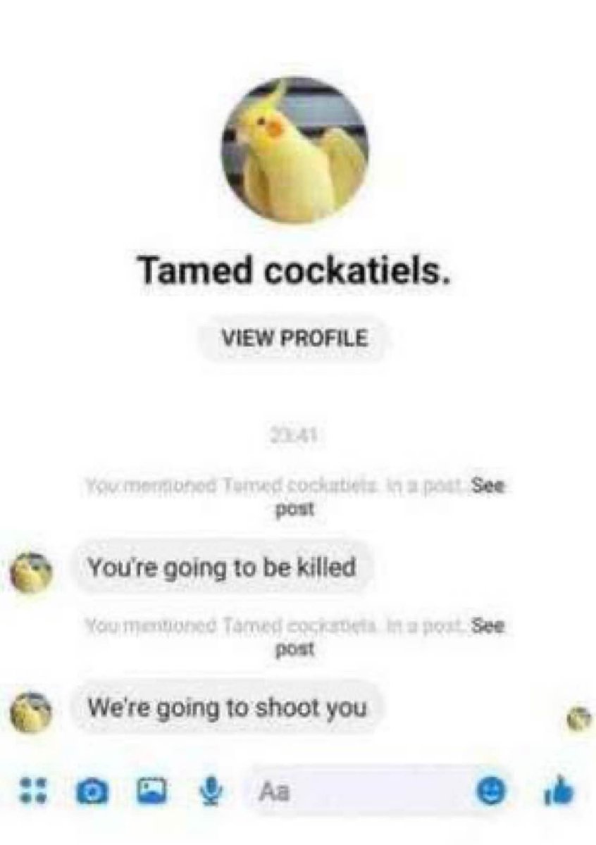 🫐 robin ' inka ⚢ tweet media