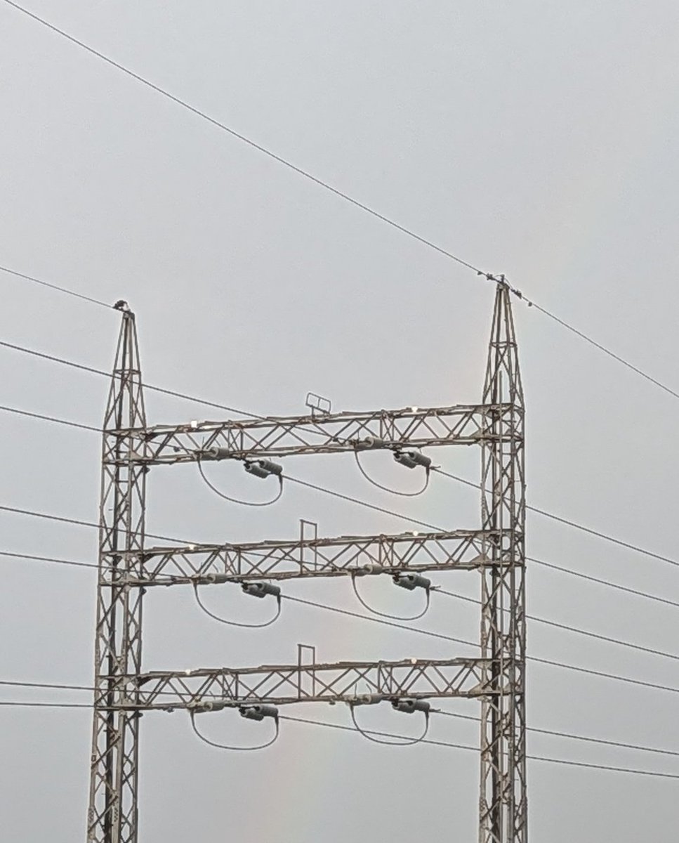 MushrooM_halos's tweet photo. うっすらと主虹です🌈
#今日の空模様　#虹 https://t.co/DcdKpLWlkd