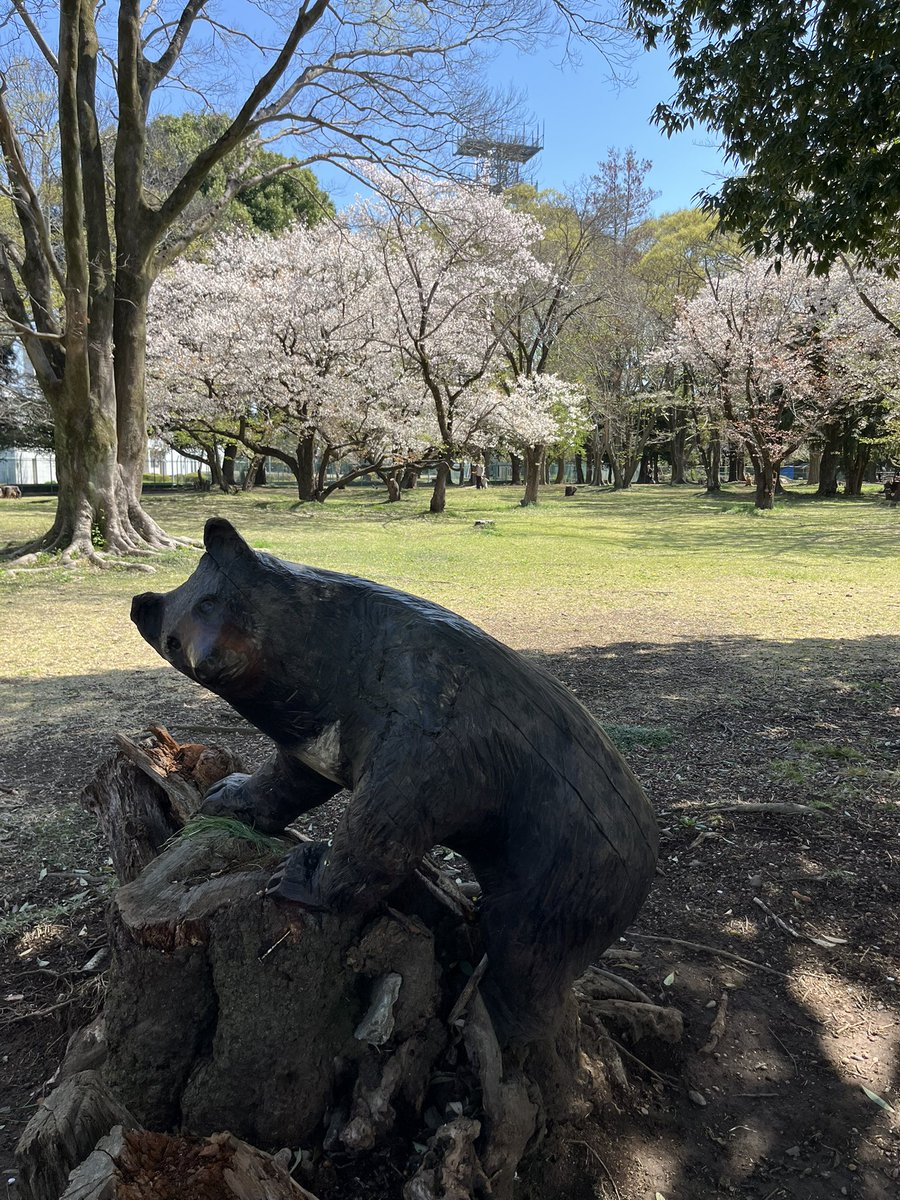mt_1957's tweet photo. こんな可愛いクマ🐻ならね😄#熊#航空公園 https://t.co/xiX8Vv6l4j