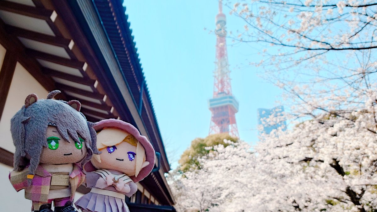 東京タワーと桜とぬいさん達パート2。
満開になった後は雨が続いてるから、この時に桜と写真撮れてタイミング良かったんだなぁ。