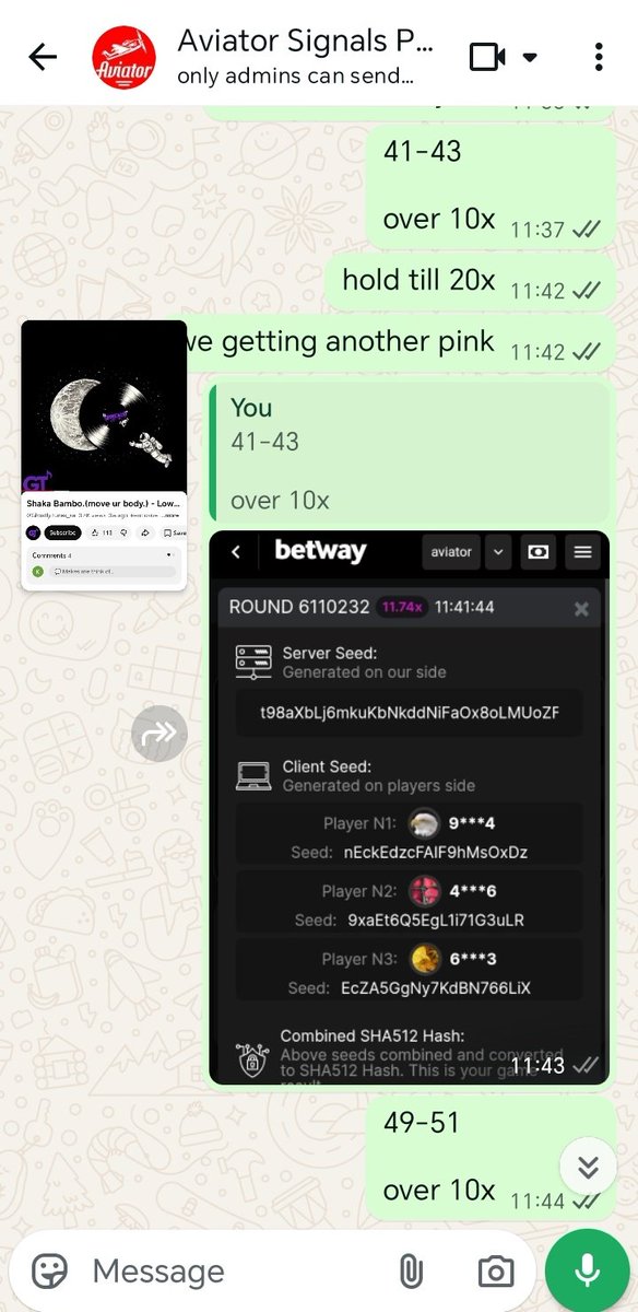 that airplane guy tweet media