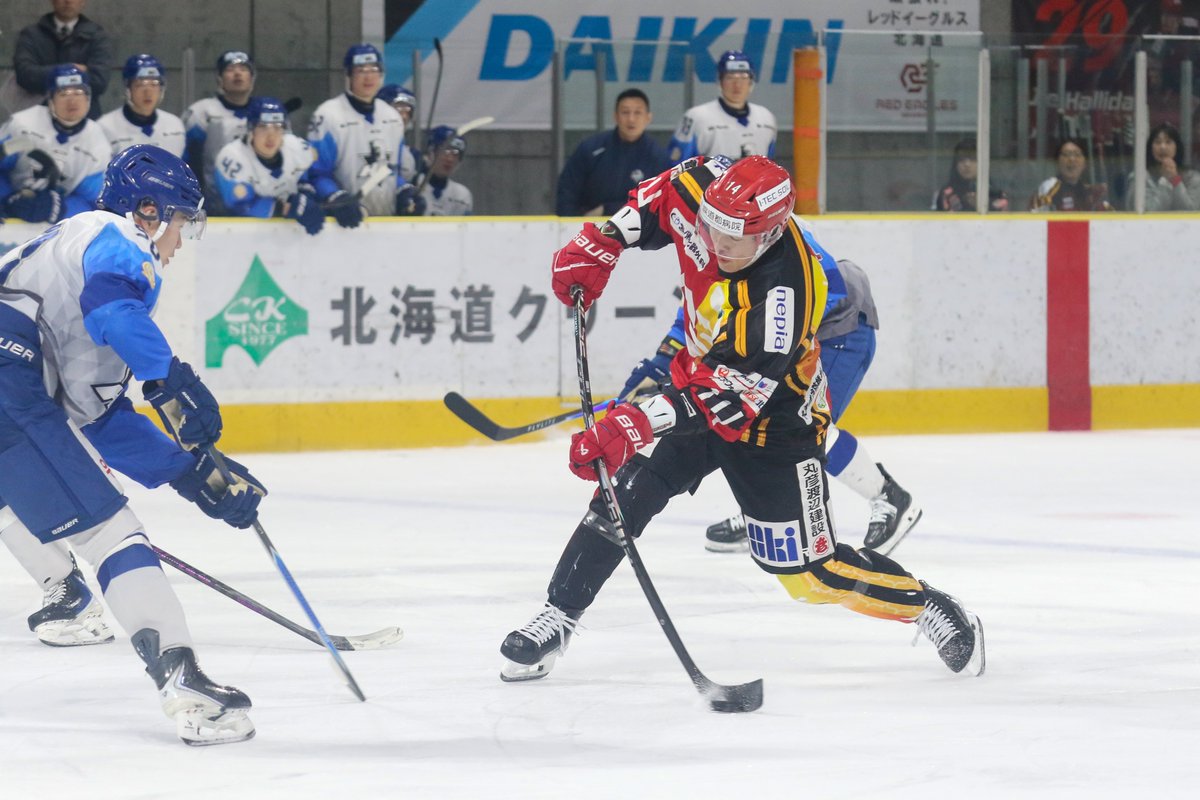 レッドイーグルス北海道 tweet media