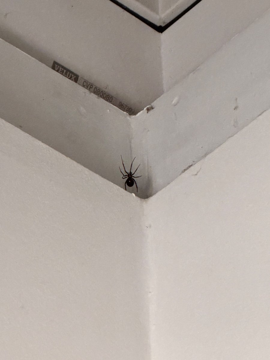 Morgan Moller tweet media