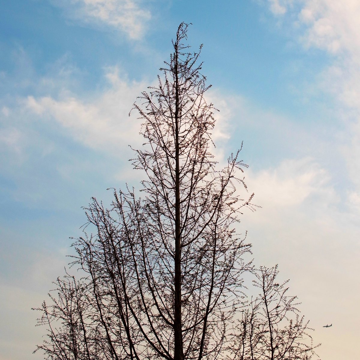 オオムロ tweet media