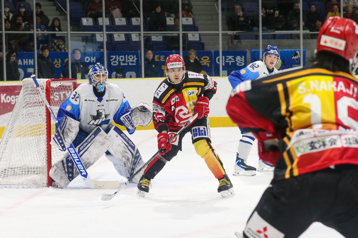 レッドイーグルス北海道 tweet media