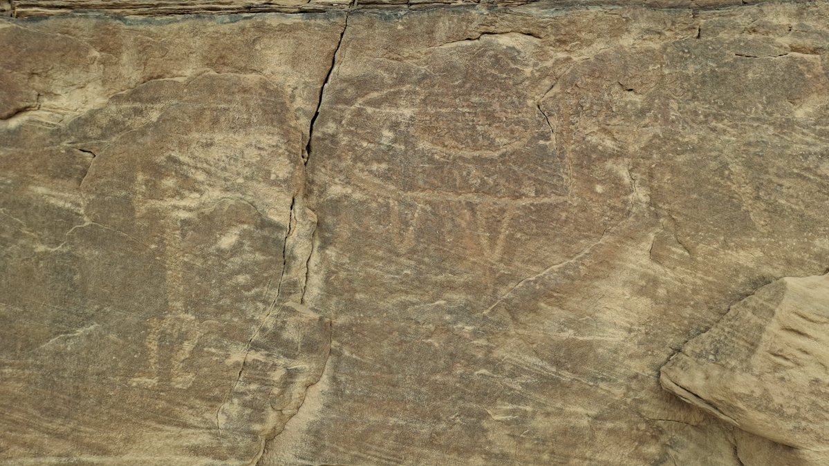 طارق ذياب tweet media