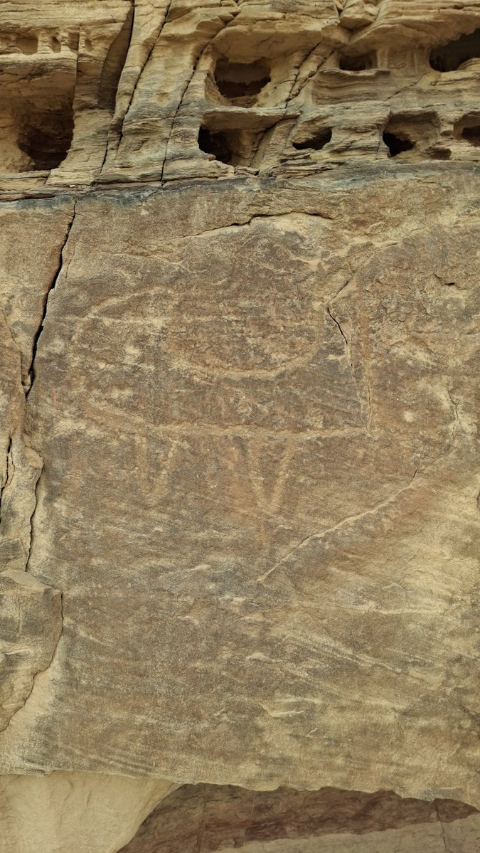 طارق ذياب tweet media