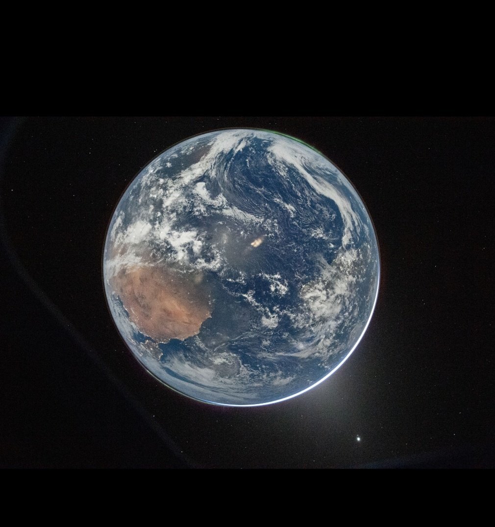 THOMAS SUTTER the real ZÜRCHER STADTFUX tweet media