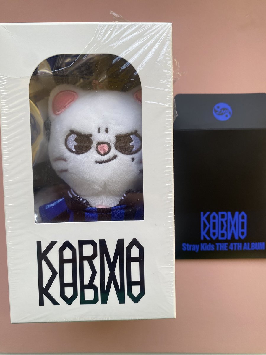 sunjaybread's tweet photo. ꒰ wts lfb ph | #sunjaybakes ꒱

karma skzoo version album (jiniret)
✷ price: ₱1,400
✷ complete inclusions
✷ mod: j&amp;t, sdd

# stray kids skz hyunjin jiniret 15cm 15 cm plush plushie https://t.co/QQ4gN5fye3
