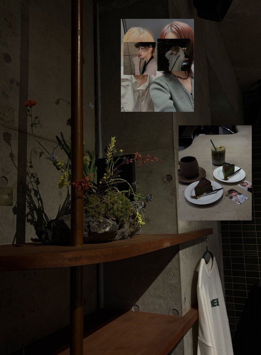 ⋆˚☁️ tweet media