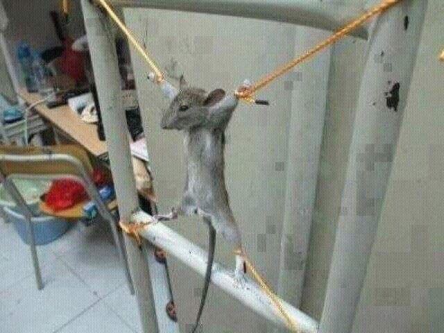 Chérié🎭 tweet media