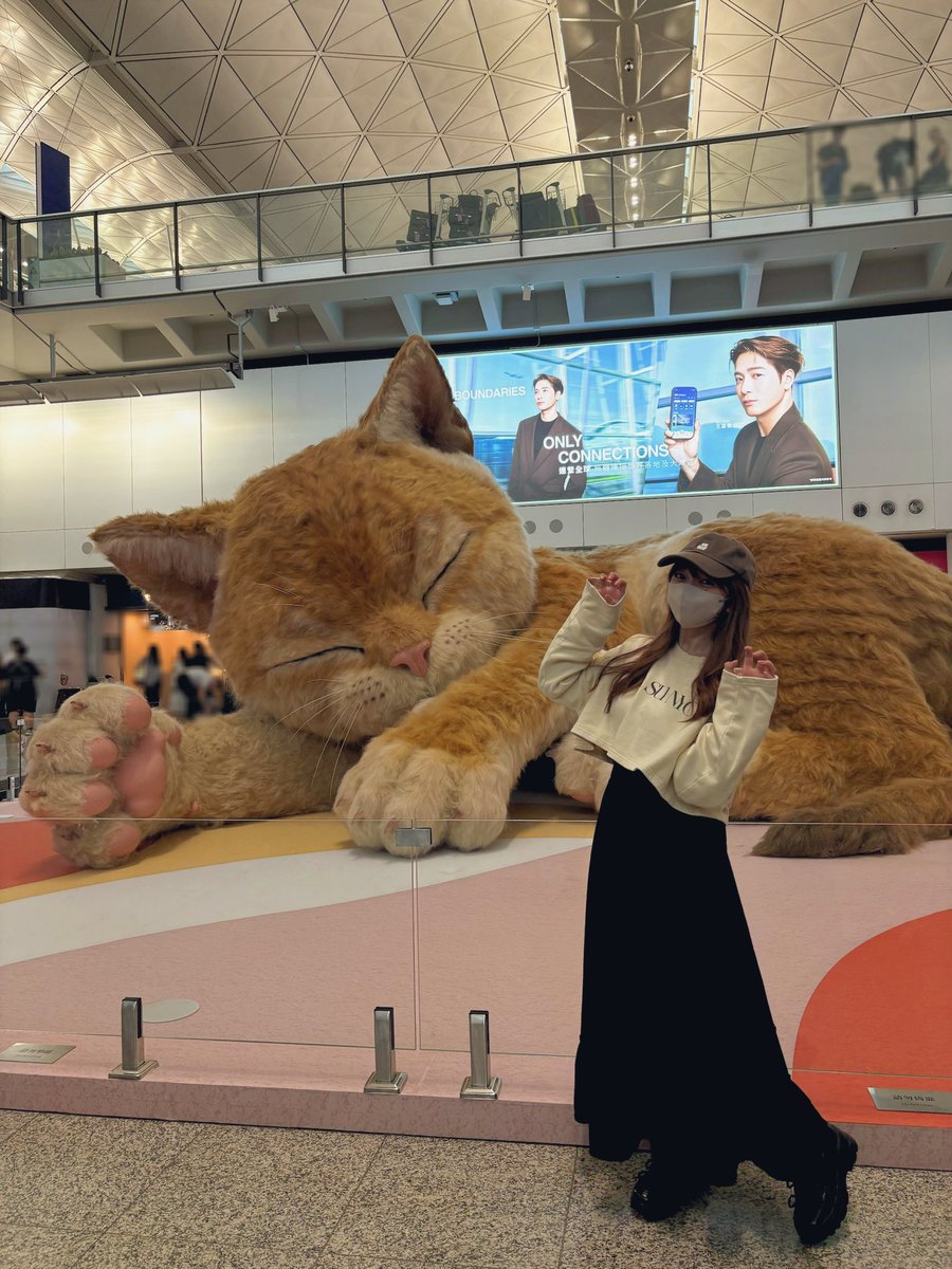 宮本彩希 tweet media