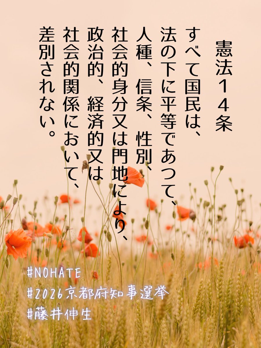 堀川あきこ🕊️日本共産党 前衆議院議員 tweet media