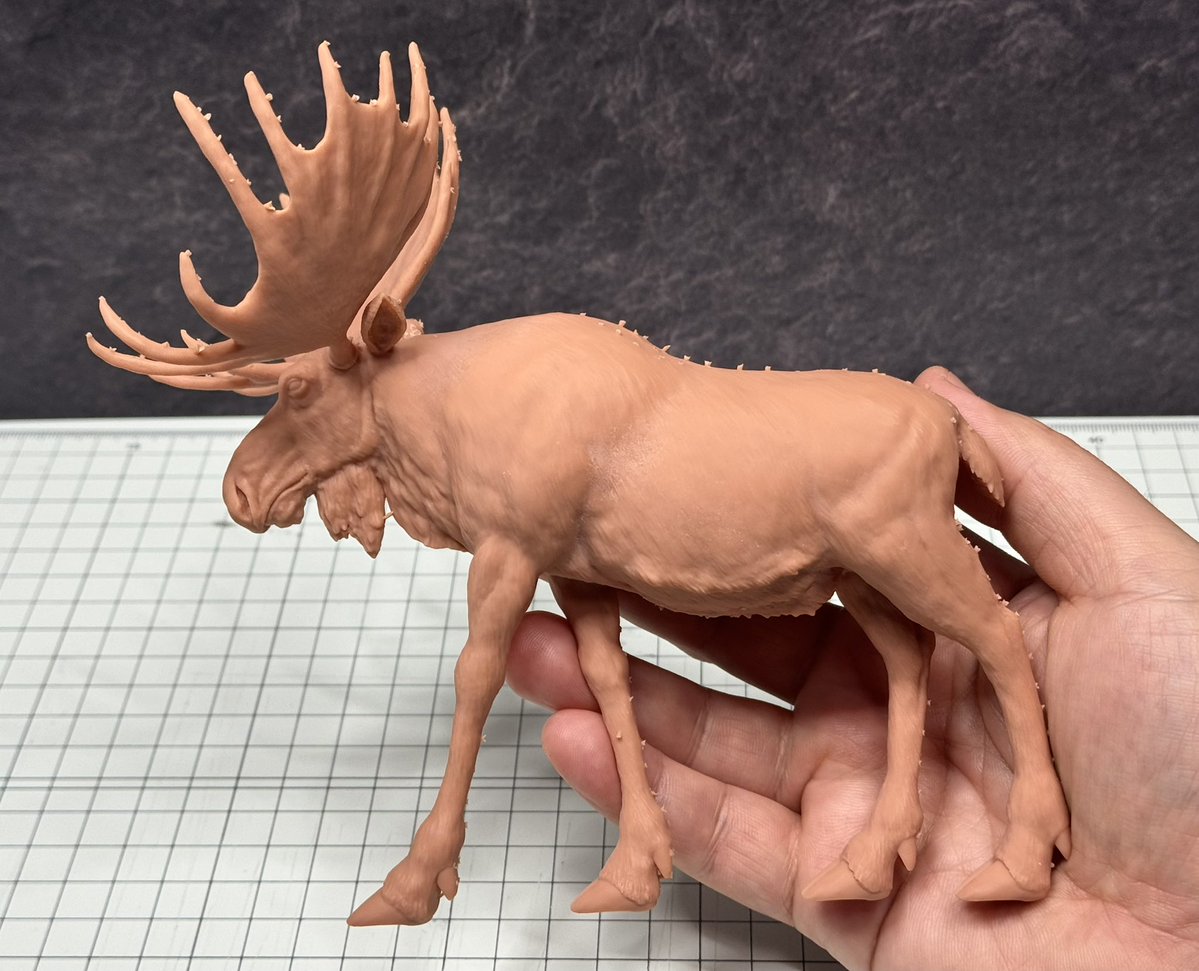 NewZeums/よしろう tweet media