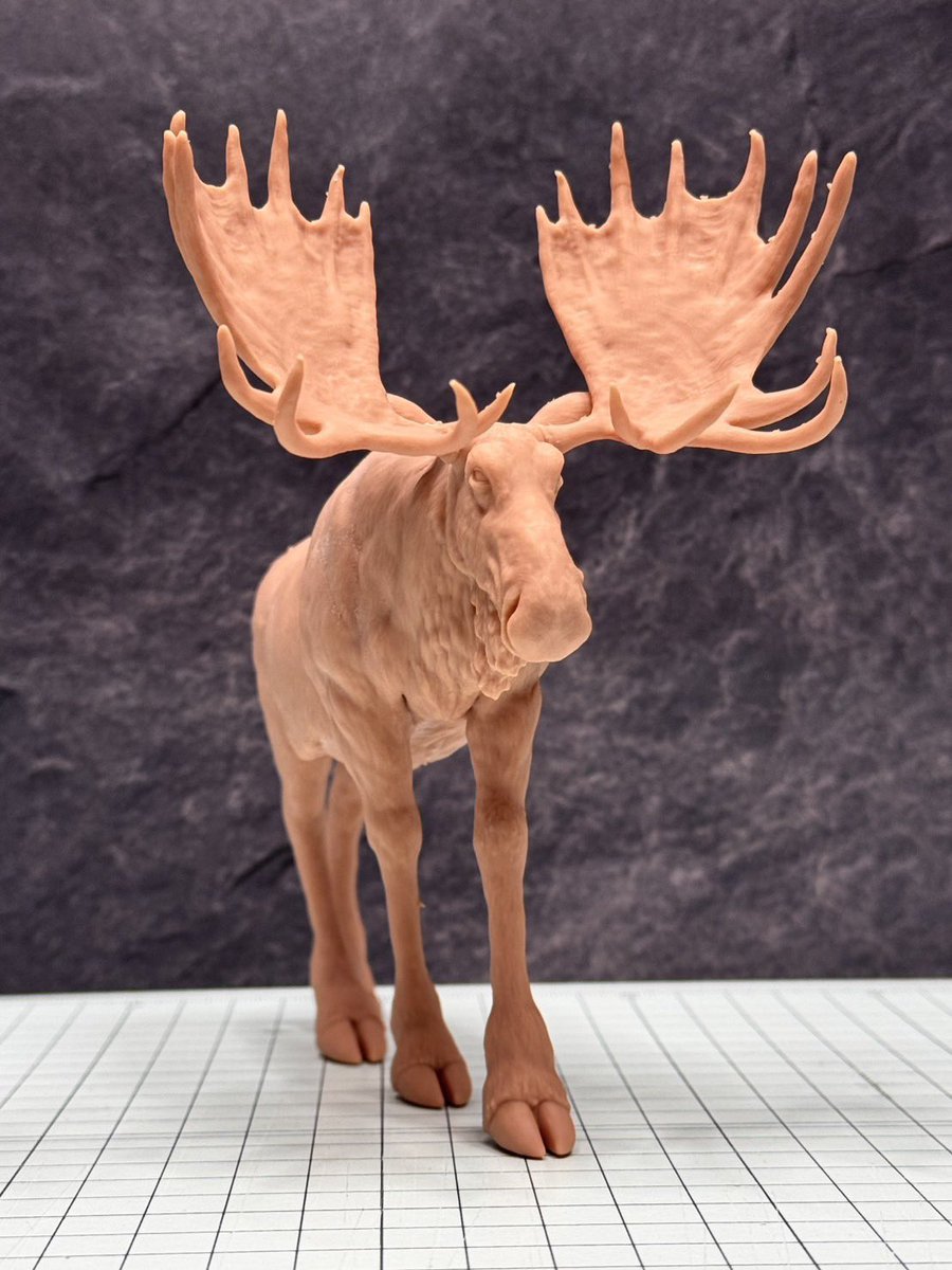 NewZeums/よしろう tweet media