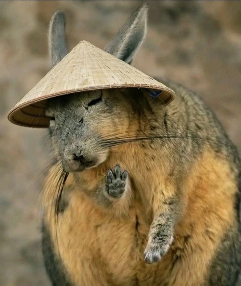 Aleksey Tsybyshev tweet media