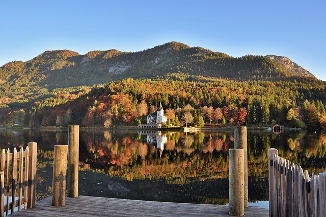 Sammy Shin tweet media