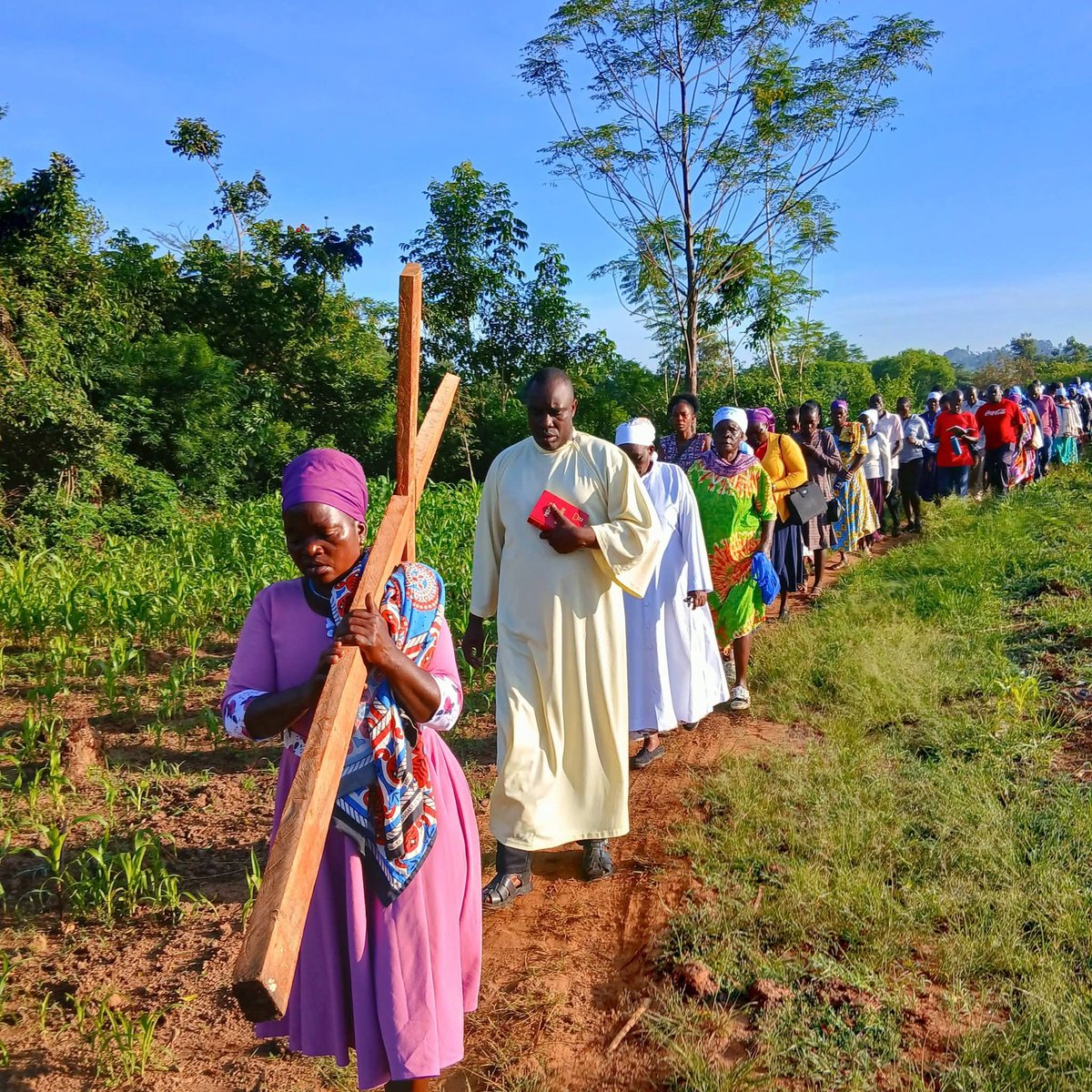 Zoom Afrika tweet media