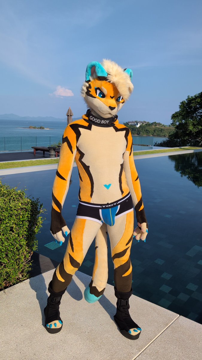 CheeFitness tweet media