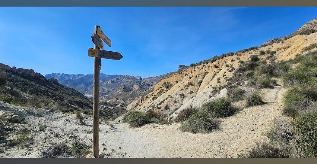 metropolitano tweet media