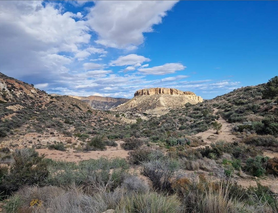 metropolitano tweet media