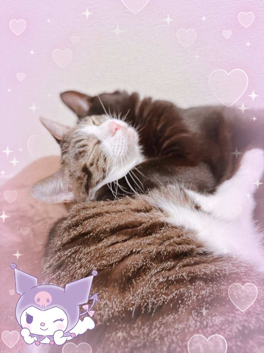 あちゅ❦😈ིྀ🎀ིྀ tweet media