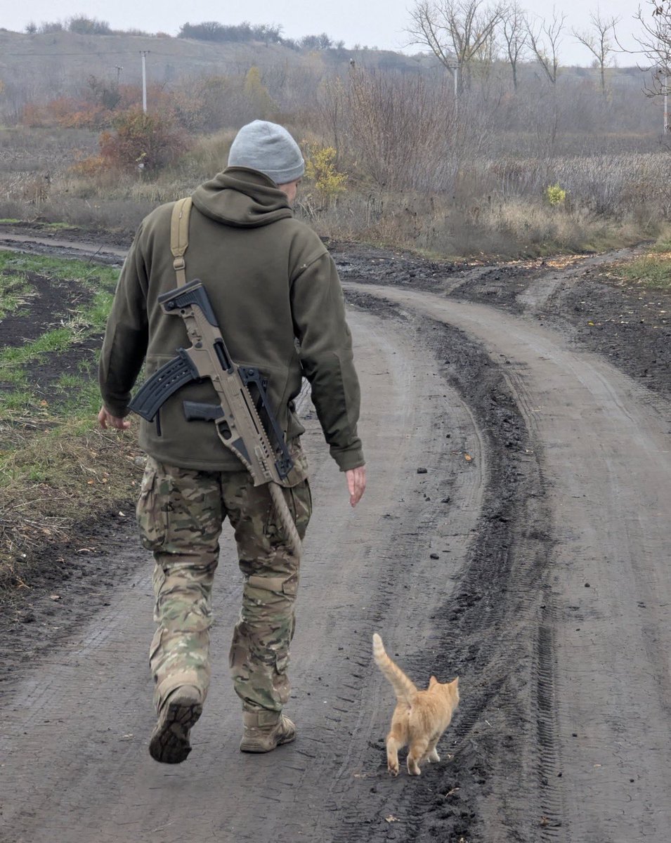 UkrARMY cats & dogs tweet media