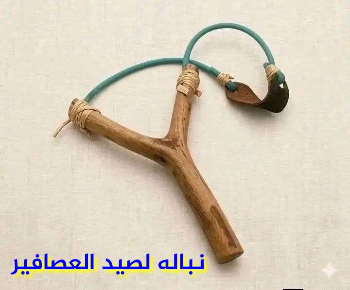 د.عبدالله سافر الغامدي tweet media