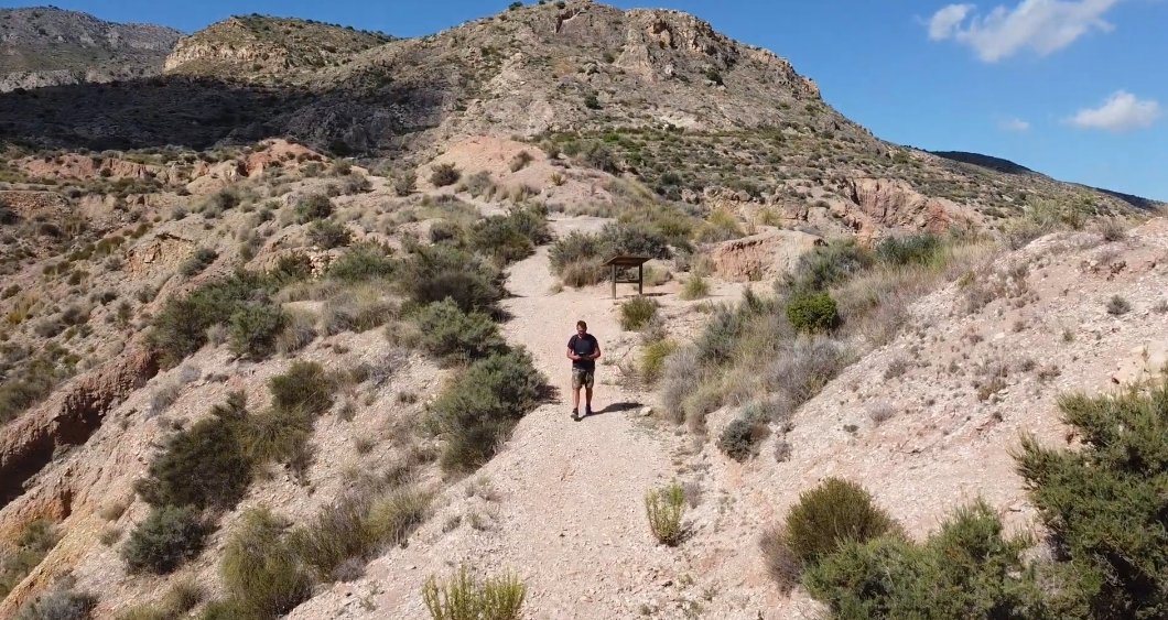 metropolitano tweet media