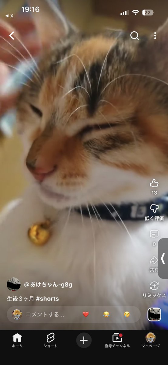 ひぐち tweet media