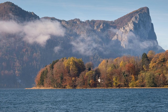 株ゴリラ @gorillataxjp tweet media