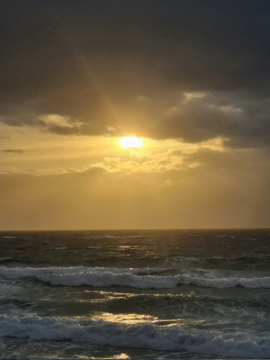 安納芋まもり隊。 tweet media