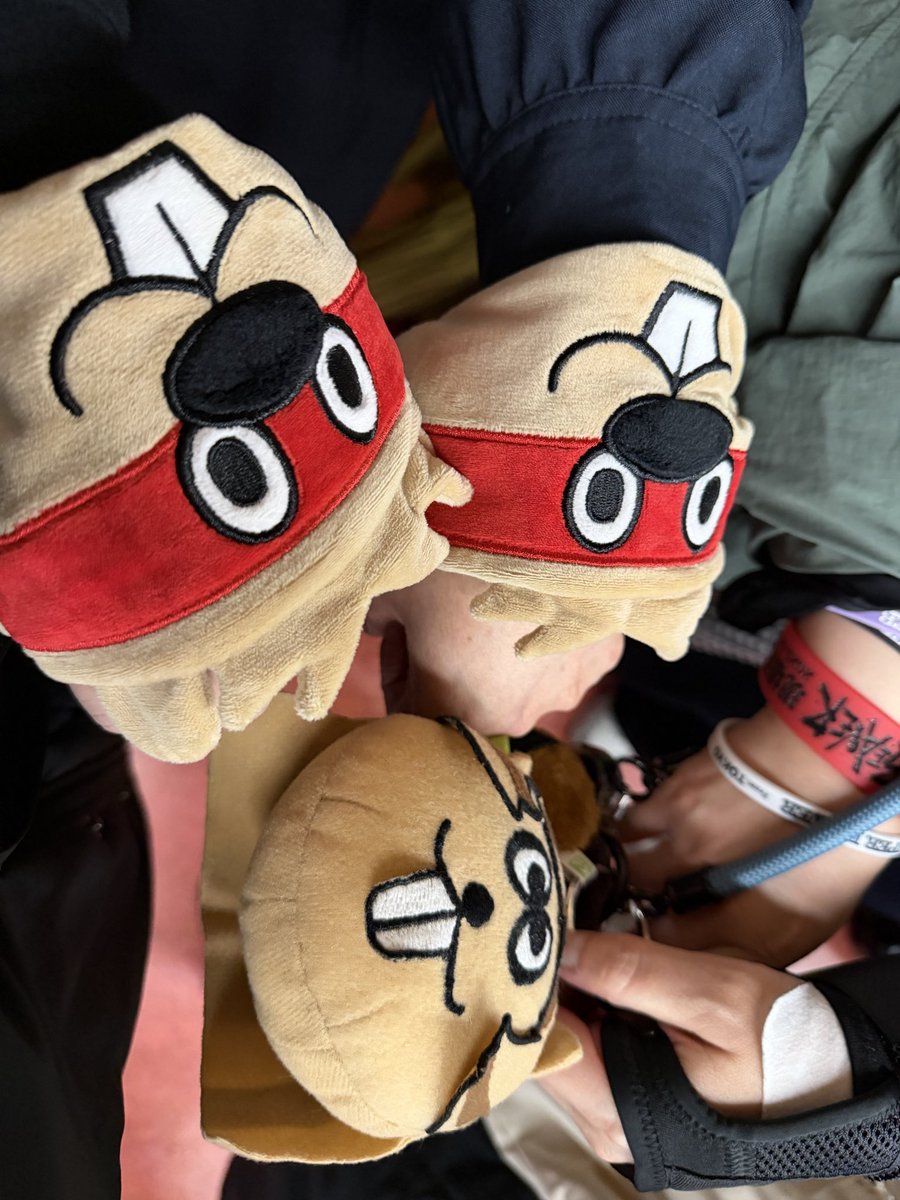 ぴよち(。・Θ・。)🦫🐺🇪🇸🐒 tweet media