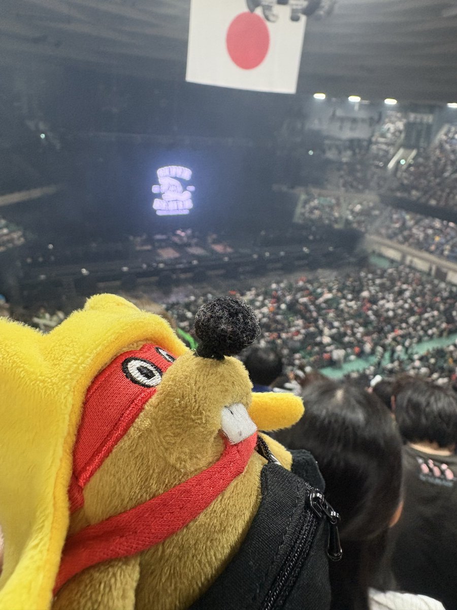 ぴよち(。・Θ・。)🦫🐺🇪🇸🐒 tweet media