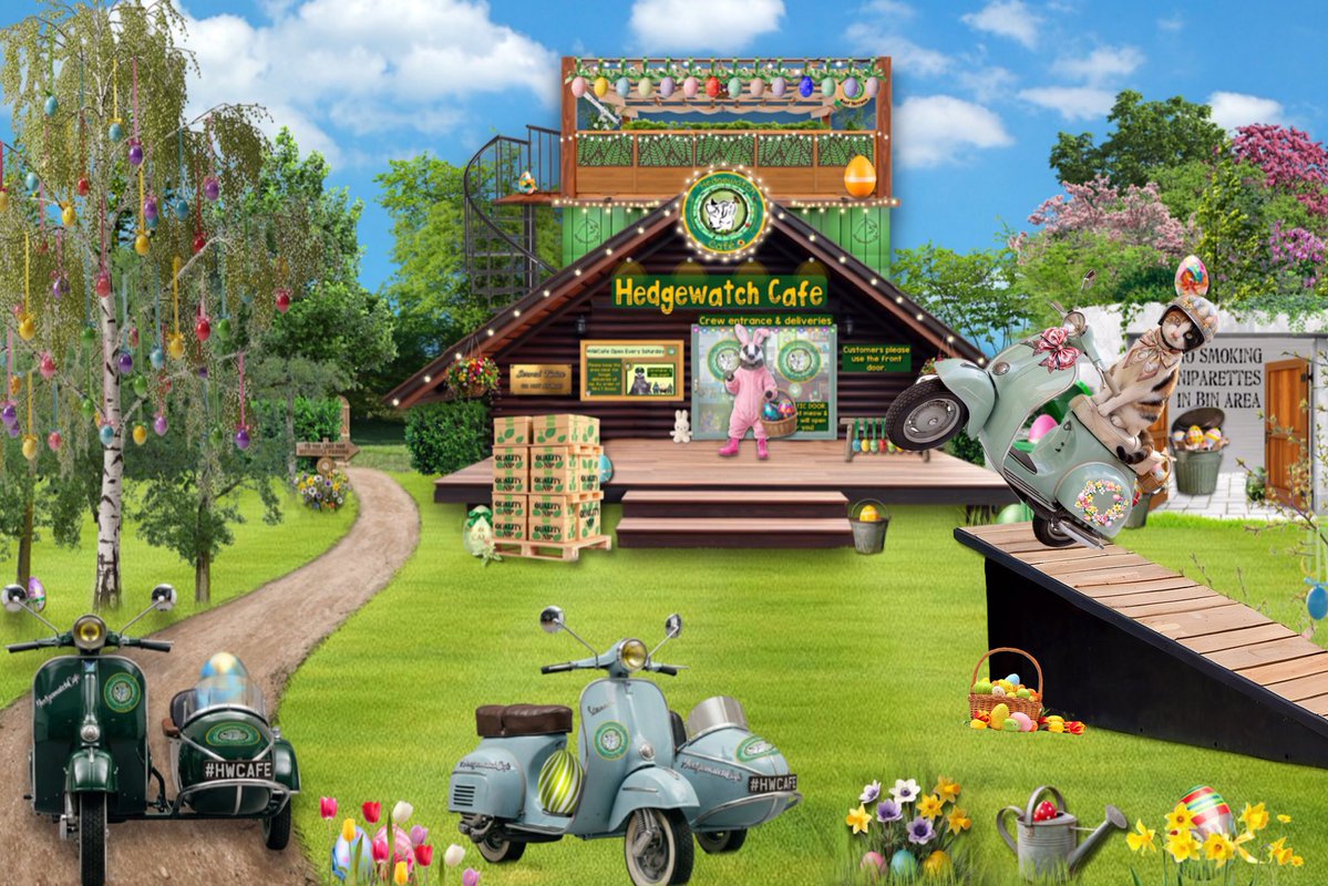 Holly, pawfessionally known as Nurse Holly🫛💚🐾 tweet media