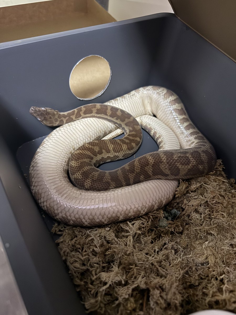 りょう tweet media