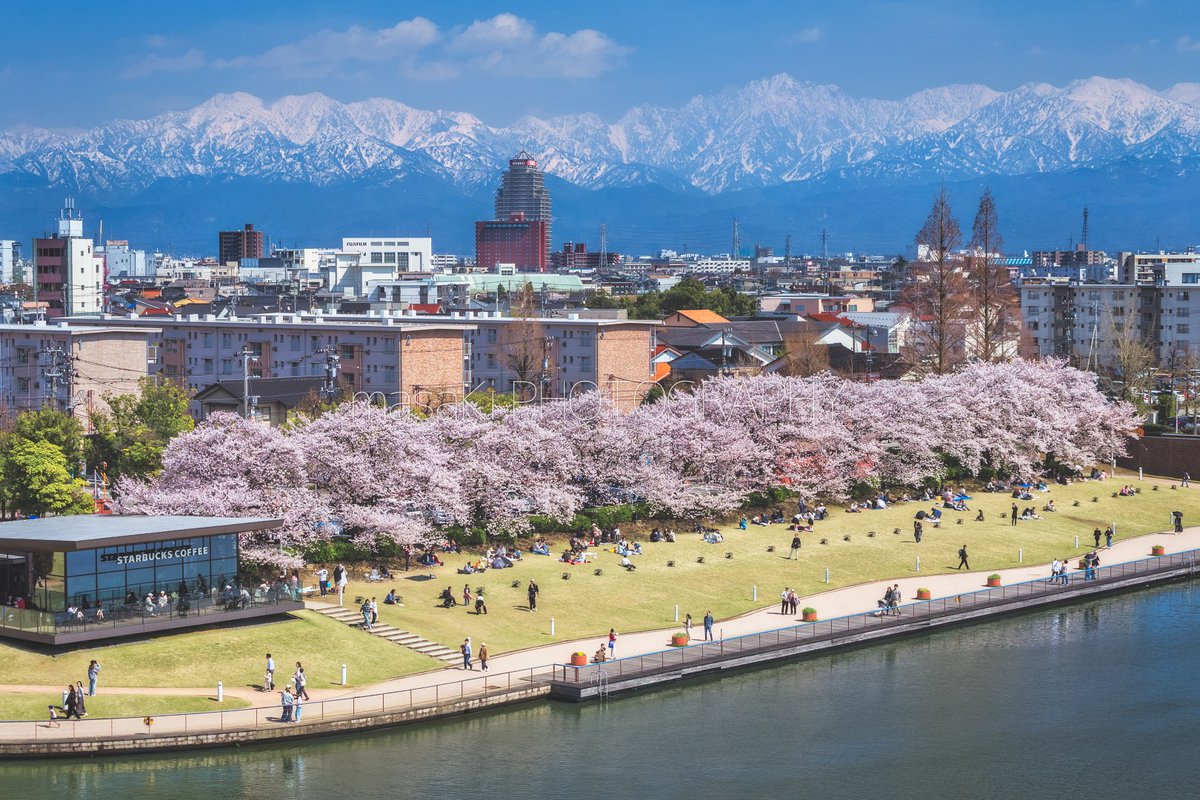masaKi44photo's tweet photo. 満開の桜が出迎えてくれる環水公園

桜のまわりには多くの人が集まり、スターバックスもにぎわっていました
写真は昨日、富山市から撮影 https://t.co/oucNi1QiBC