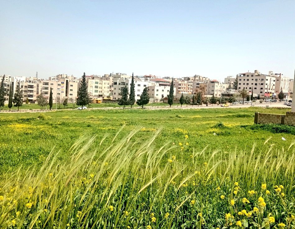 abulaian286's tweet photo. #ربيع_عمّان_2026
#الاردن

من العاصمة الأردنية ربيع 2026 https://t.co/f3ppTDsKyH