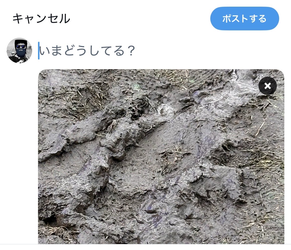 SHOMA_CSC's tweet photo. 「いまどうしてる？」

・
・
・
・

「田植え👨🏻‍🌾」

 #DPF26 https://t.co/qsuLoWTZoq